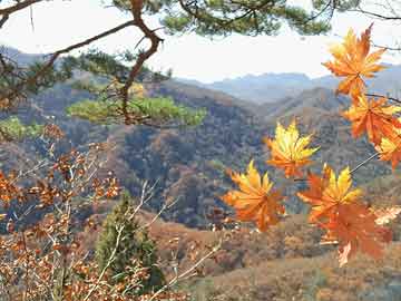 全面解讀股票多空策略，掌握平衡投資之道
