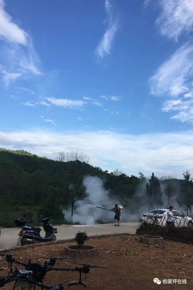最新蝗蟲災害動態(tài),最新蝗蟲災害動態(tài)，應對與防治的詳細步驟指南