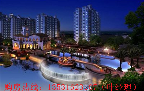 大亞灣羅建強(qiáng)最新消息，深度解析各方觀點(diǎn)與個人立場闡述